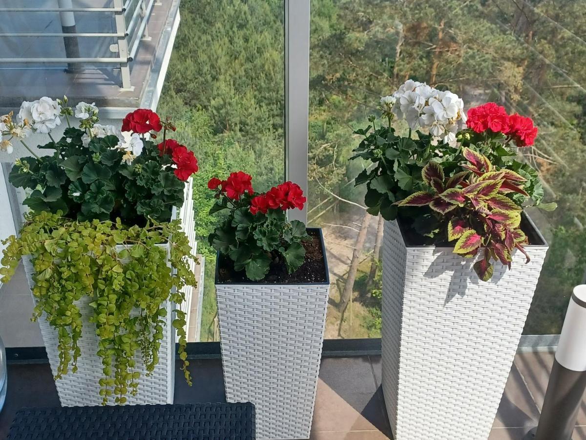 Apartament Z Widokiem Na Morze Dziwnówek Eksteriør billede